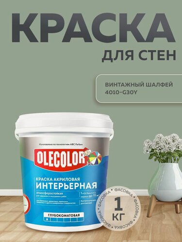 Изображение товара Краска для стен интерьерная OLECOLOR, зеленый, акриловая без запаха винтажный шалфей 1 кг