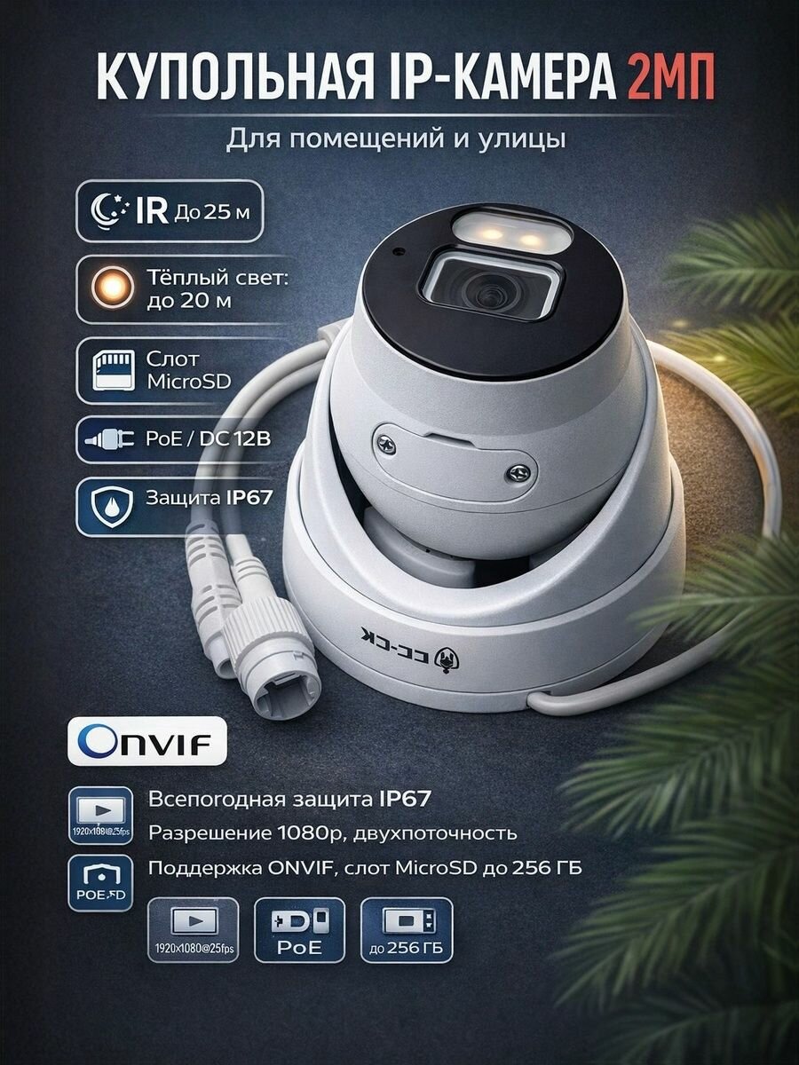 Видеокамера IP СС-СК RS-CH324N6KCB-LTF-L28PW-M-NOR, Eyeball 2Мп, 2.8 мм