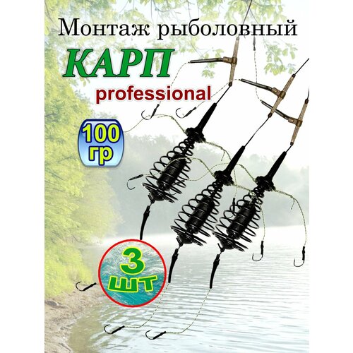 Монтаж рыболовный карп профессионал. 100 г, 3 шт.