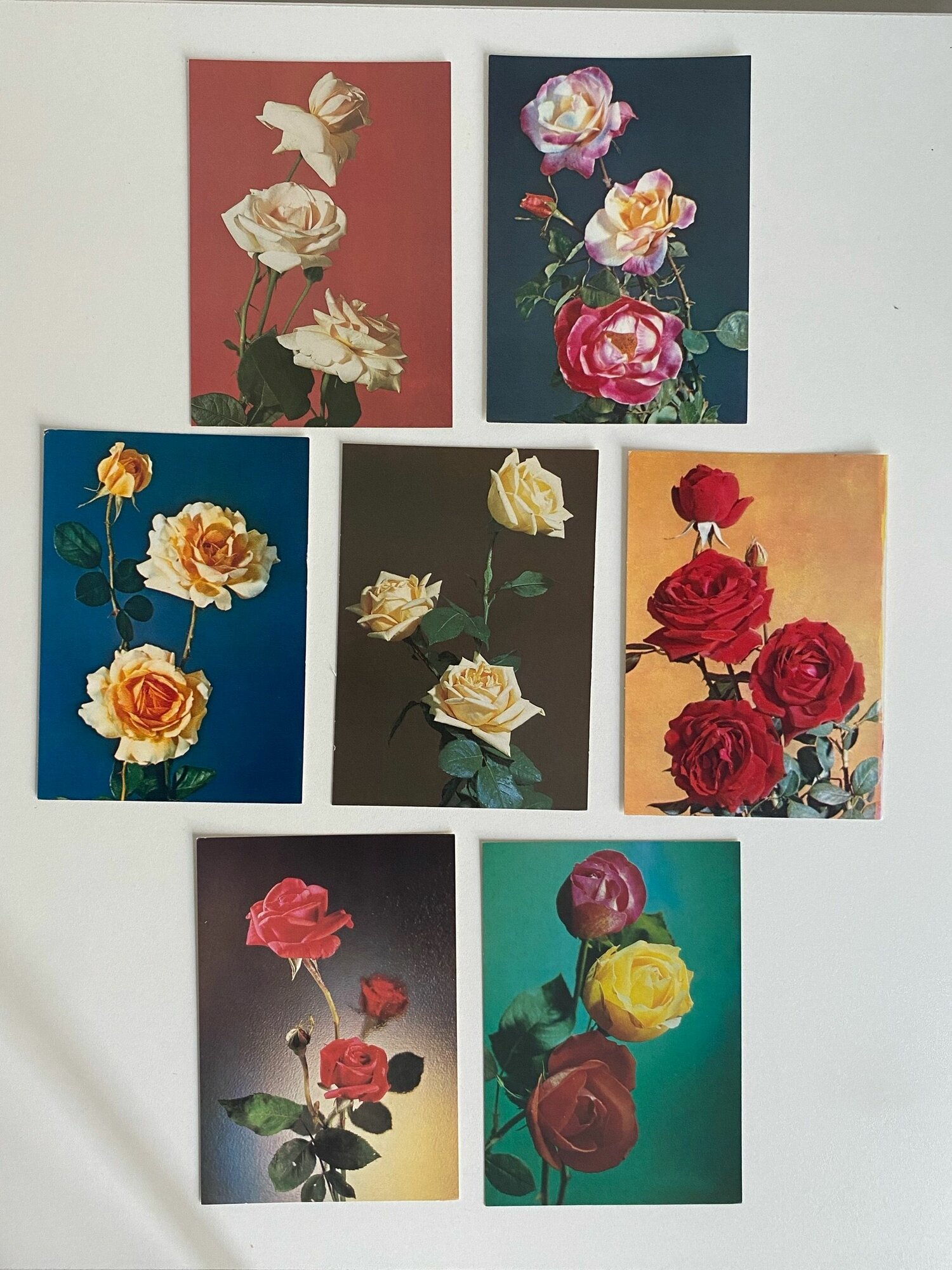 Набор винтажных открыток "Цветы". СССР. 7 шт. Размеры: 15х10.5 см.