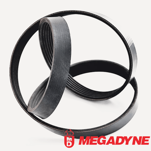 Изображение товара Поликлиновый ремень PJ 1371/ 540 J, MEGADYNE, MEGADYNE, 8 ручьев (8PJ1371)
