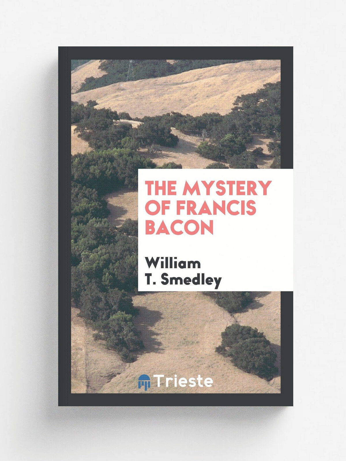 The mystery of Francis Bacon