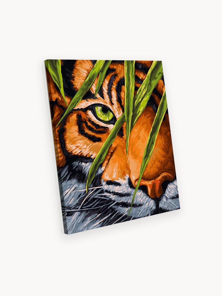 Картина по номерам на холсте с подрамником 40х50 см Тигриный глаз