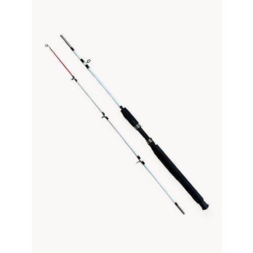 Спиннинг Крокодил 2-х частный штекерный, тест 100-250 грамм, 100 см, белый