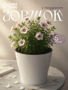 Основная фотография от вендора