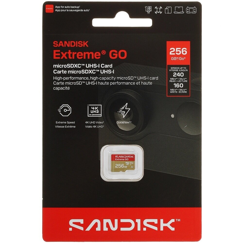 Карта памяти MicroSDXC 256Gb Sandisk SDSQXGN-256G-GN6MN Extreme Go