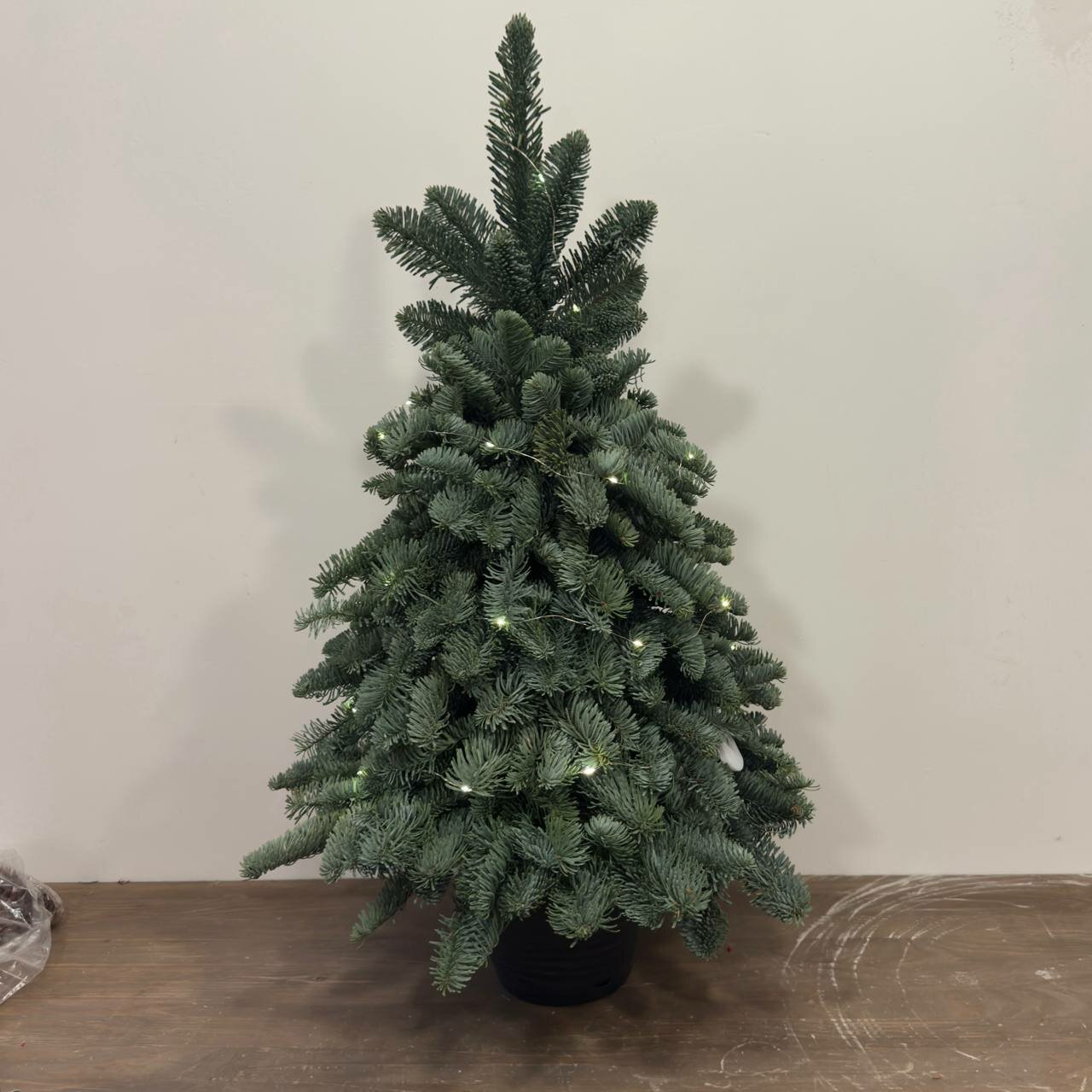 Ёлка из веточек пихты нобилис со светодной гирляндой в кашпо