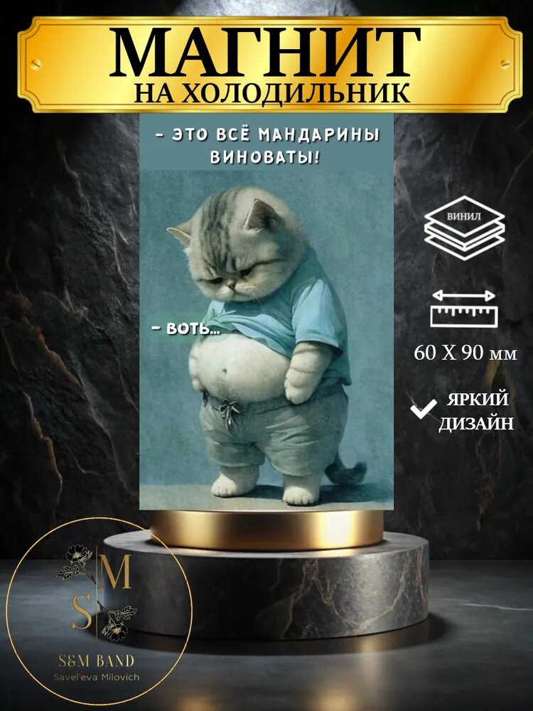 Магнит на холодильник Смешной кот