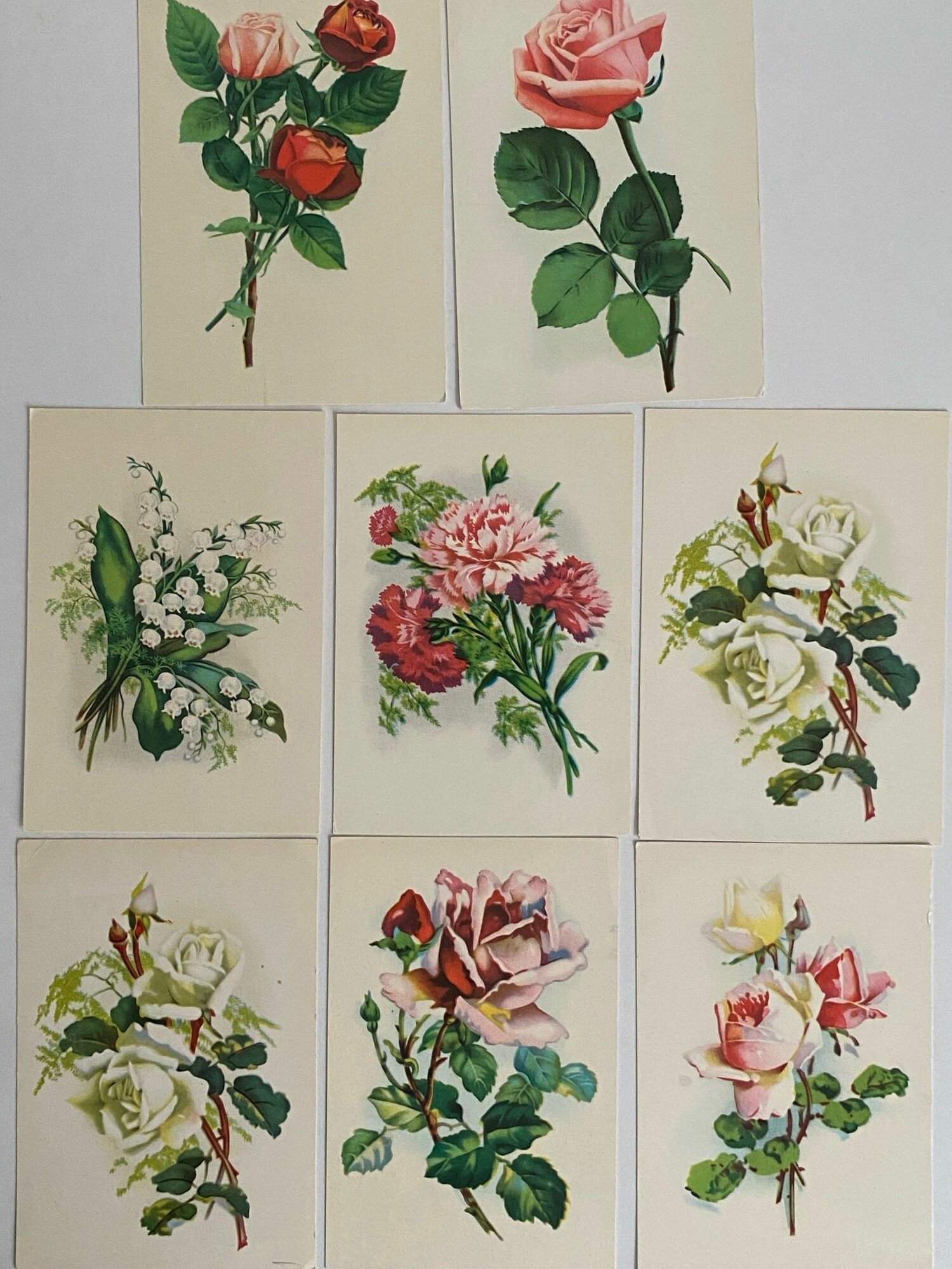 Набор винтажных открыток "Цветы". СССР. Таллин. 1969 год. 8 шт. Размеры: 15х10.5 см.