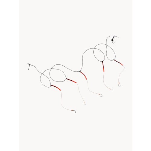 Монтаж рыболовный, снасть на карпа сазана, 5 крючков из высокоуглеродистой стали с поводками на леске (номер 10)