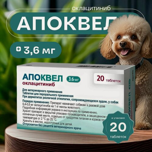 Изображение товара Таблетки от аллергии Zoetis Апоквел 3,6 мг, 3.6 мл, 25 г, 20шт. в уп, 1уп.