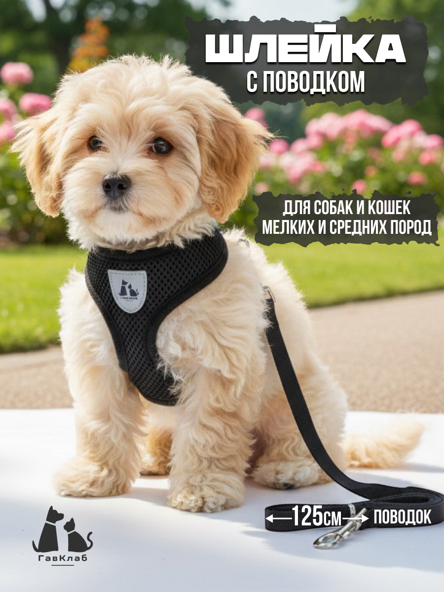 Шлейка для собак