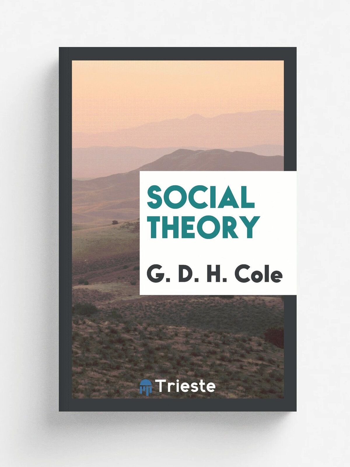 Social theory