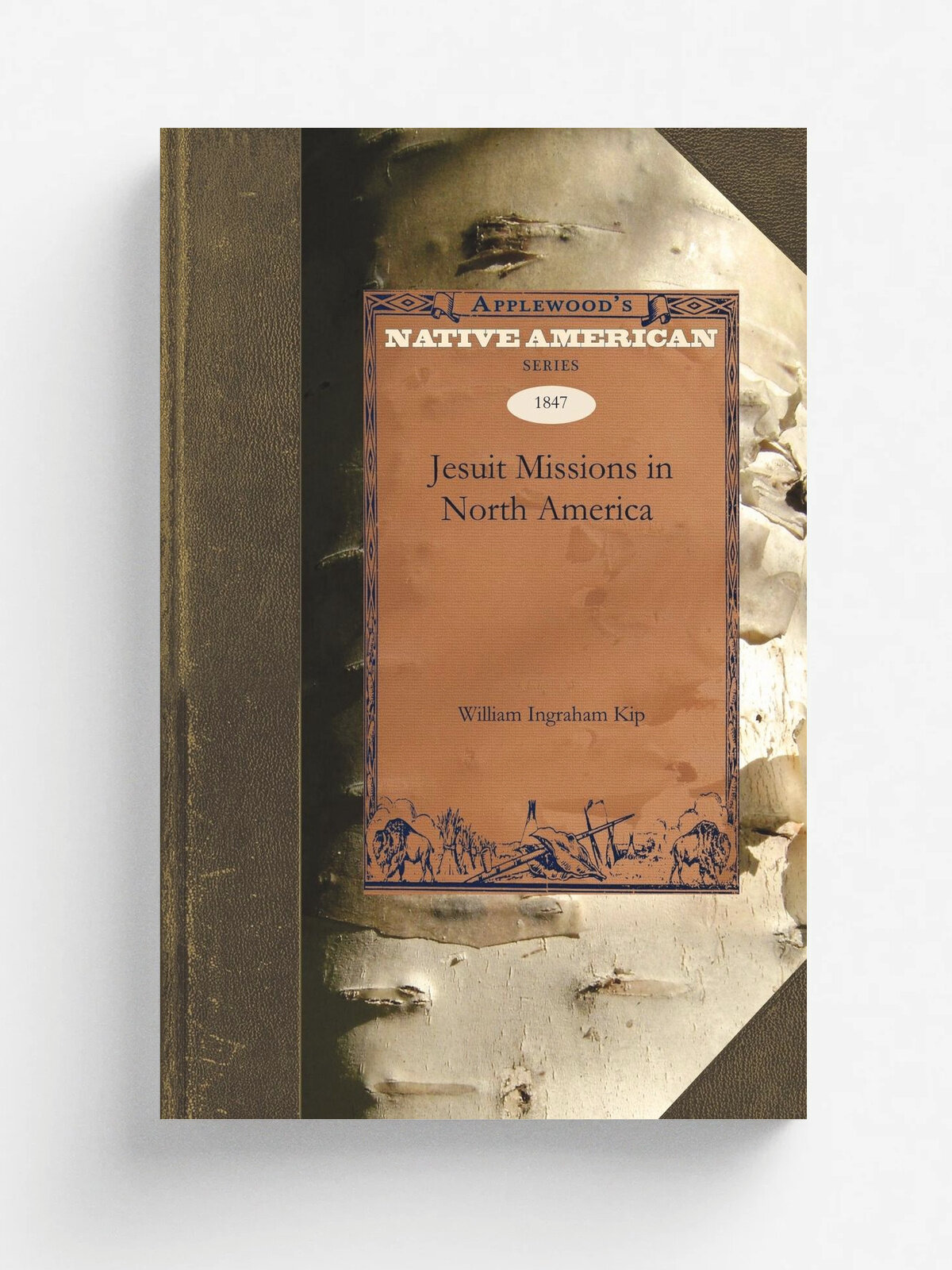The Early Jesuit Missions in North America