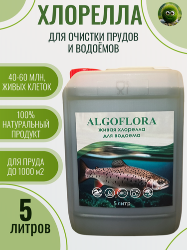 Изображение товара Хлорелла для очистки прудов и водоемов суспензия канистра 5 литров