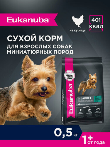 Изображение товара Сухой корм для собак Eukanuba Adult Toy Breed для миниатюрных пород, 500 г