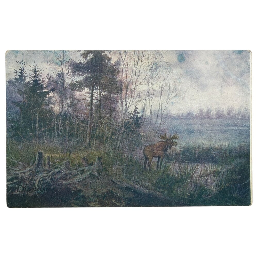 Почтовая открытка "Каменский - На водопой" 1914-1916 гг. Российская Империя