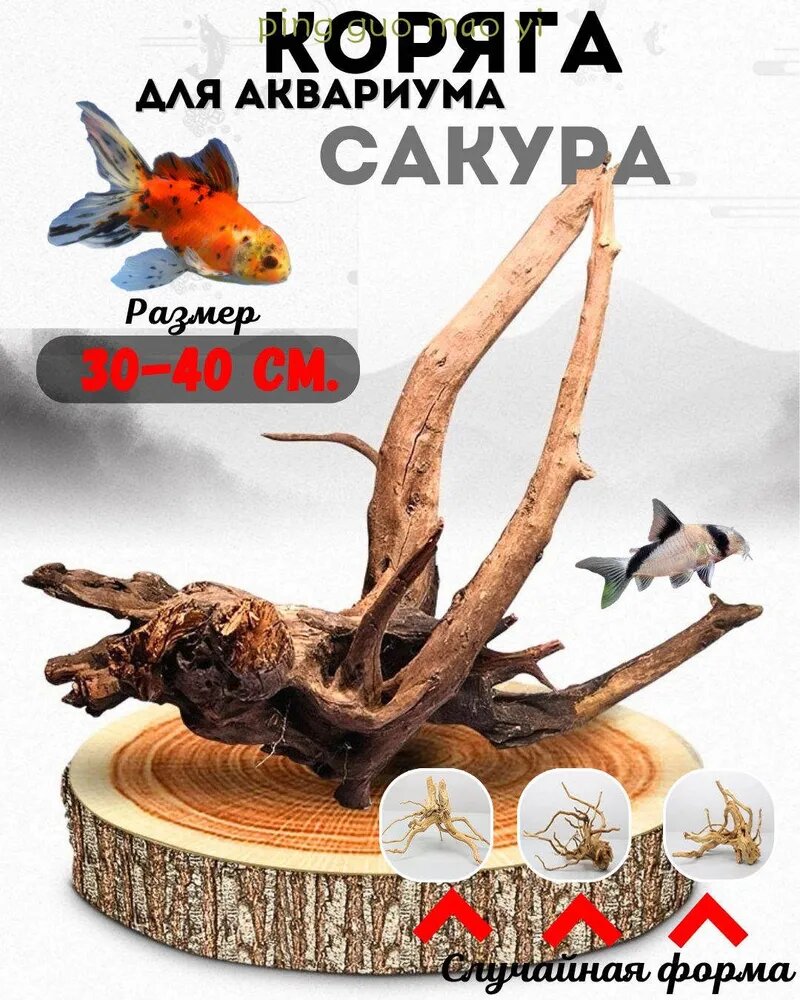 Коряга для аквариума натуральная/Коряга натуральная Сакура/Декорация для аквариума и террариума.