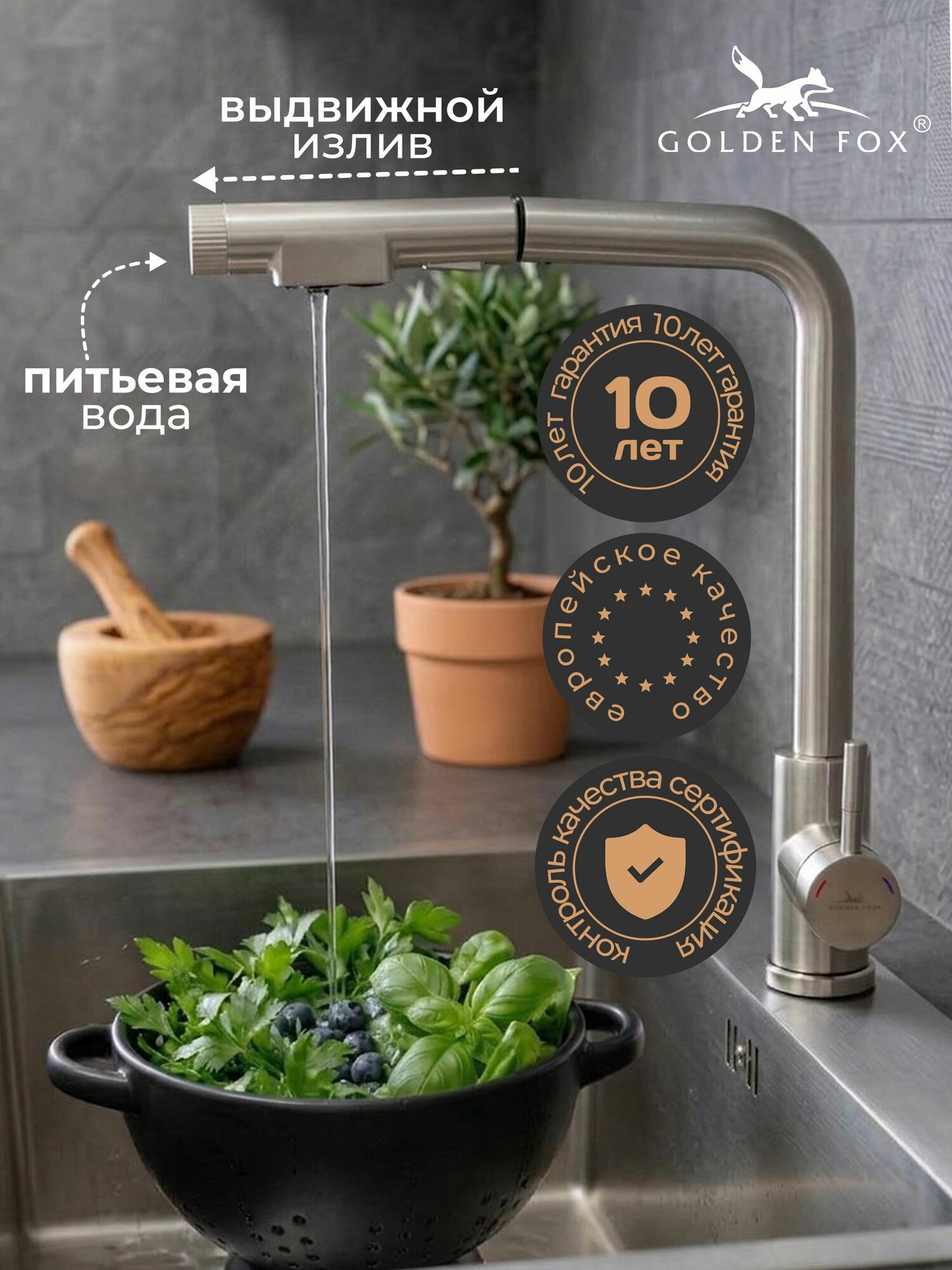 Golden Fox Смеситель для кухни с фильтром, латунь, 2 режима, выдвижной излив
