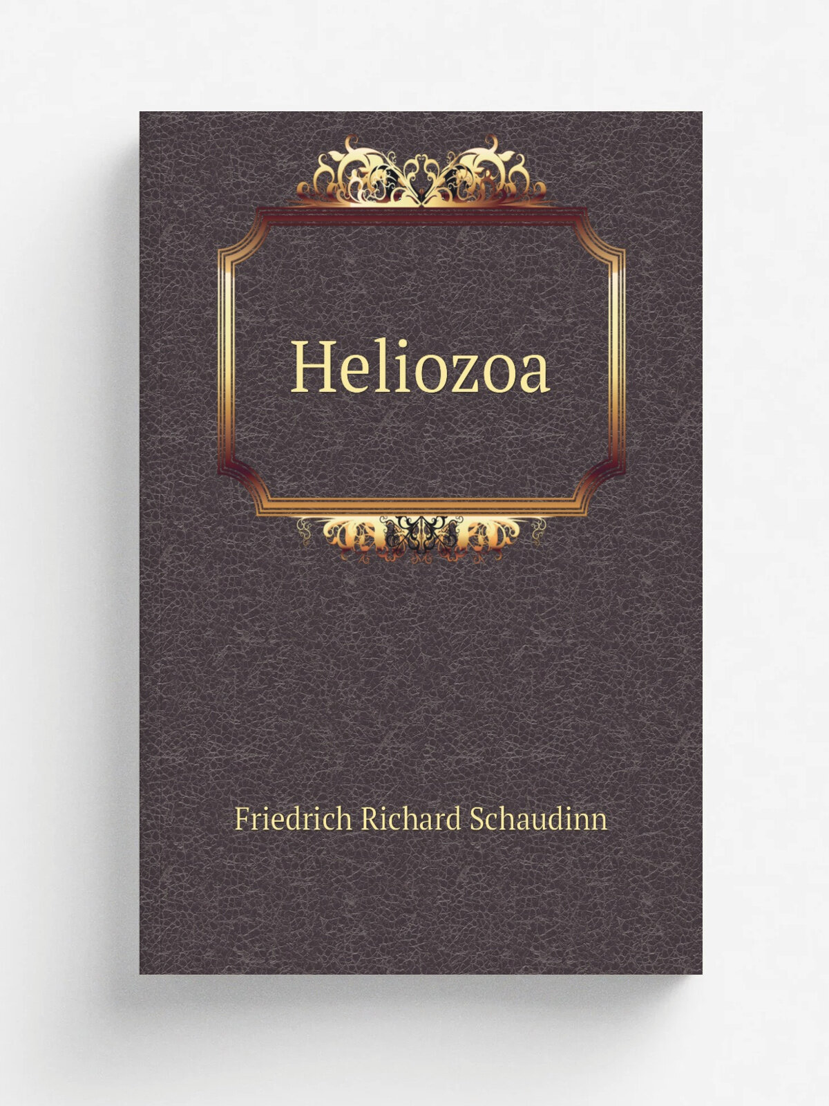 Heliozoa | Friedrich Richard Schaudinn | 1896 | Berlin : R. Friedl.nder und sohn | Репринт