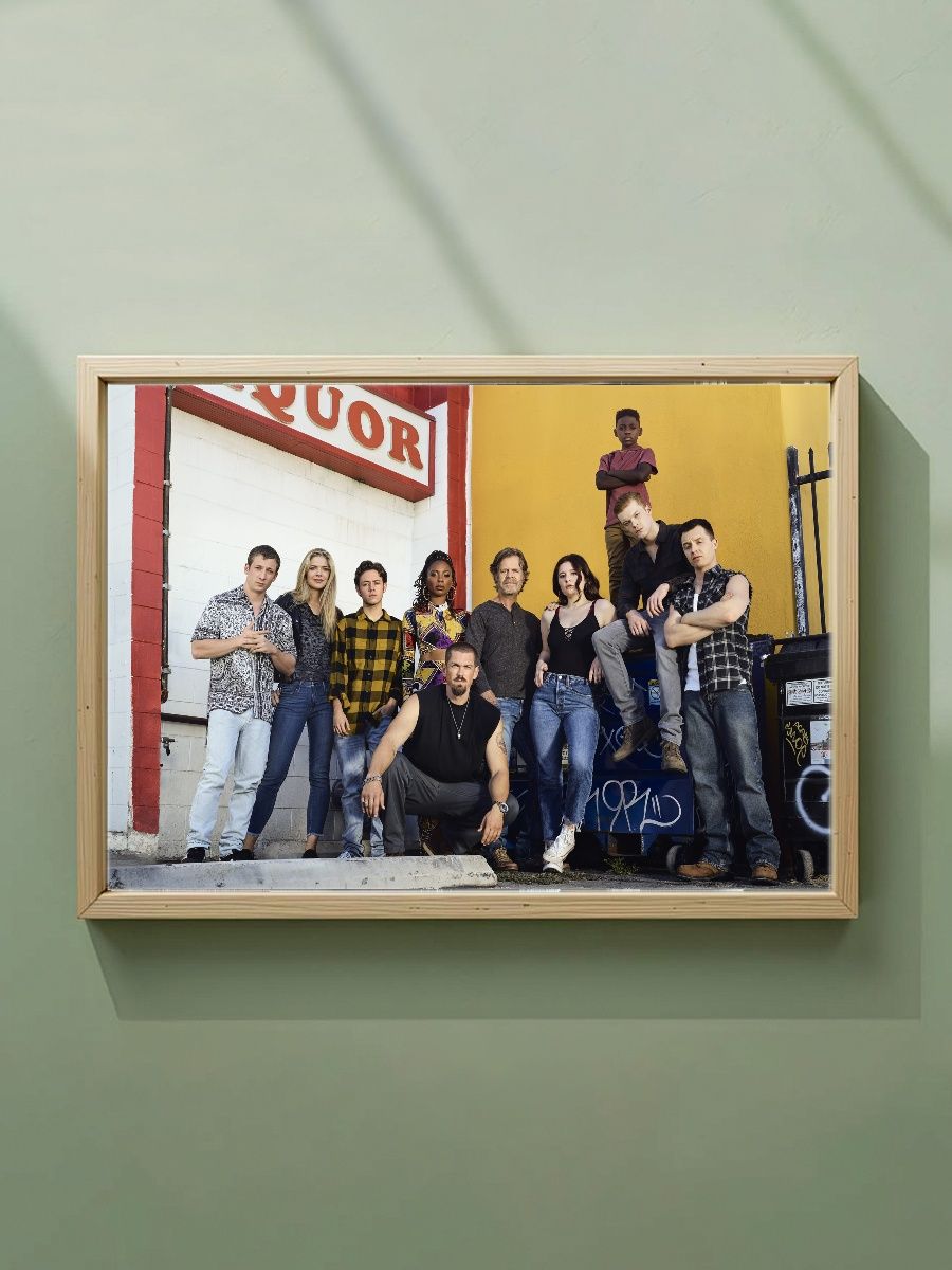 Постер, плакат на стену "Стыдливые / Shameless" 42 см х 29,7 см (А3), Без Рамы