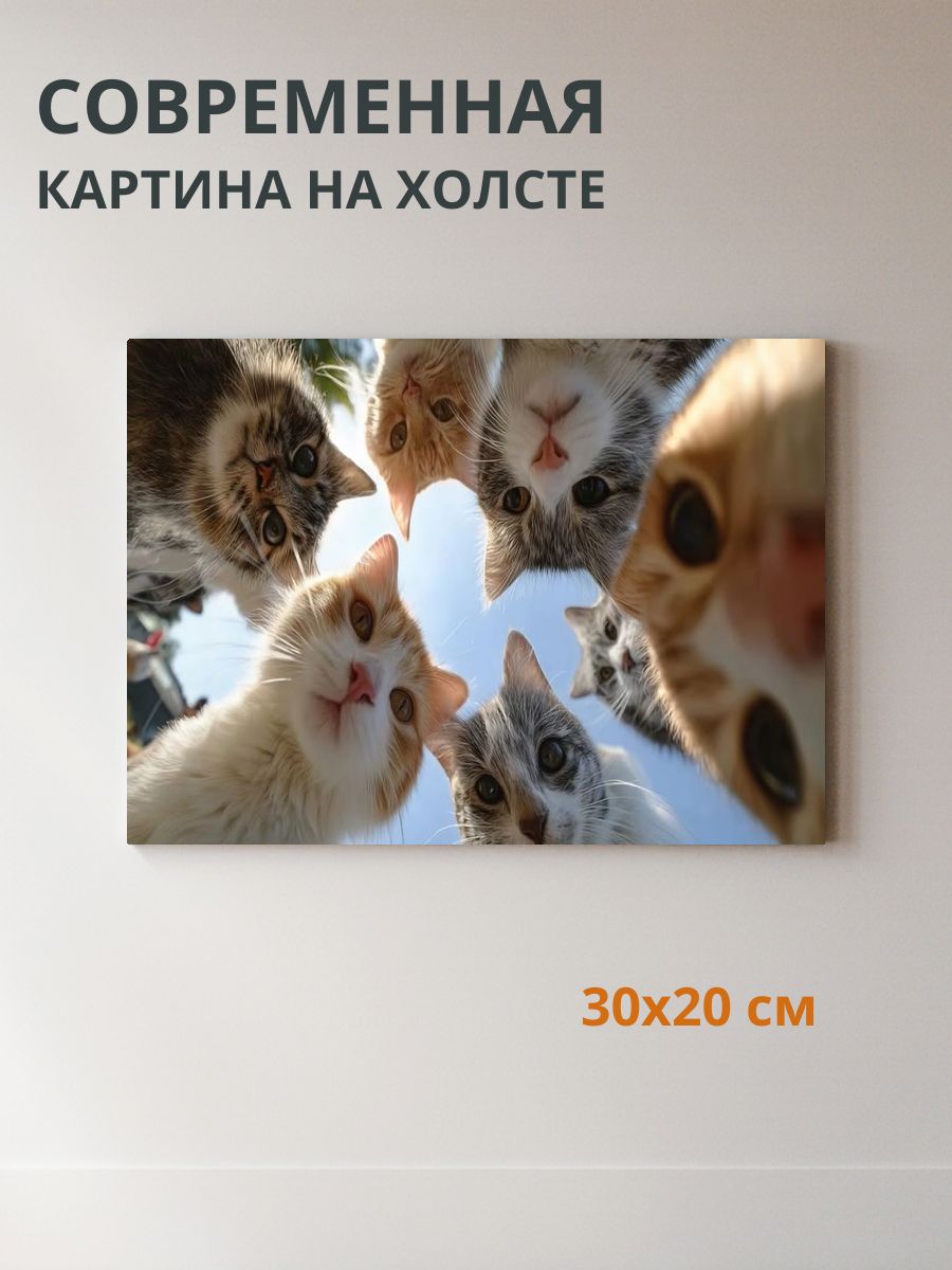 Картина на холсте Пять котов 30x20 см