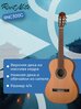 Классическая гитара Root Note RNC300C NT