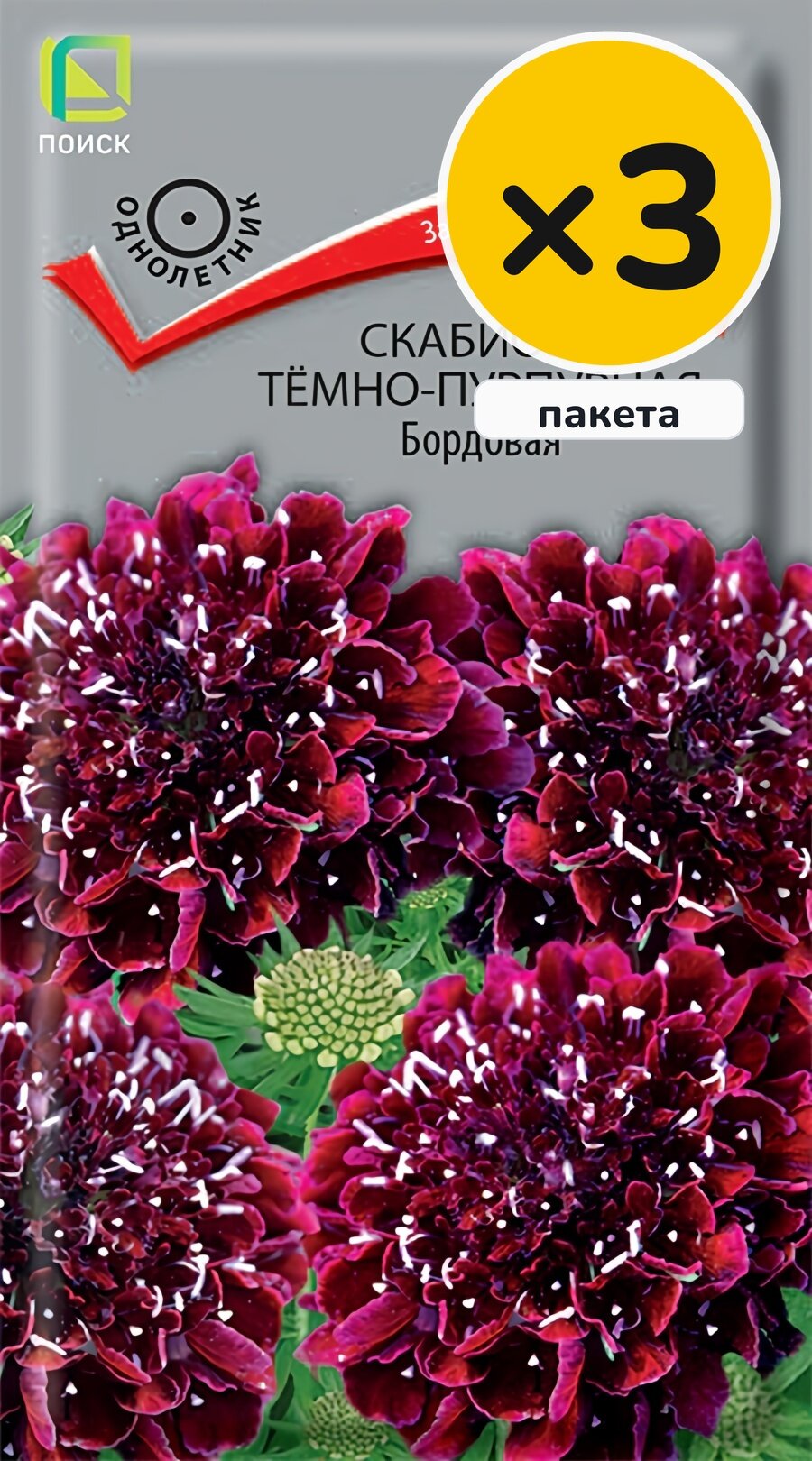 Семена скабиозы тeмно-пурпурной Бордовая, 0,2 г, 3 пакета, Поиск, однолетник, высота до 80 см