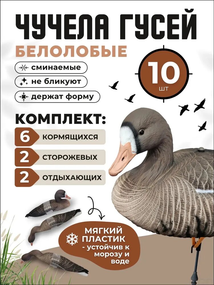 Чучело