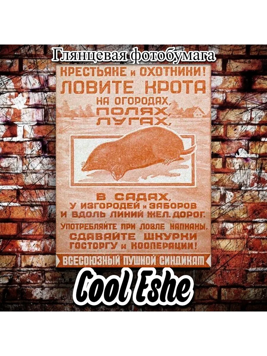 Постер "Ловите крота и сдавайте шкурки" А4