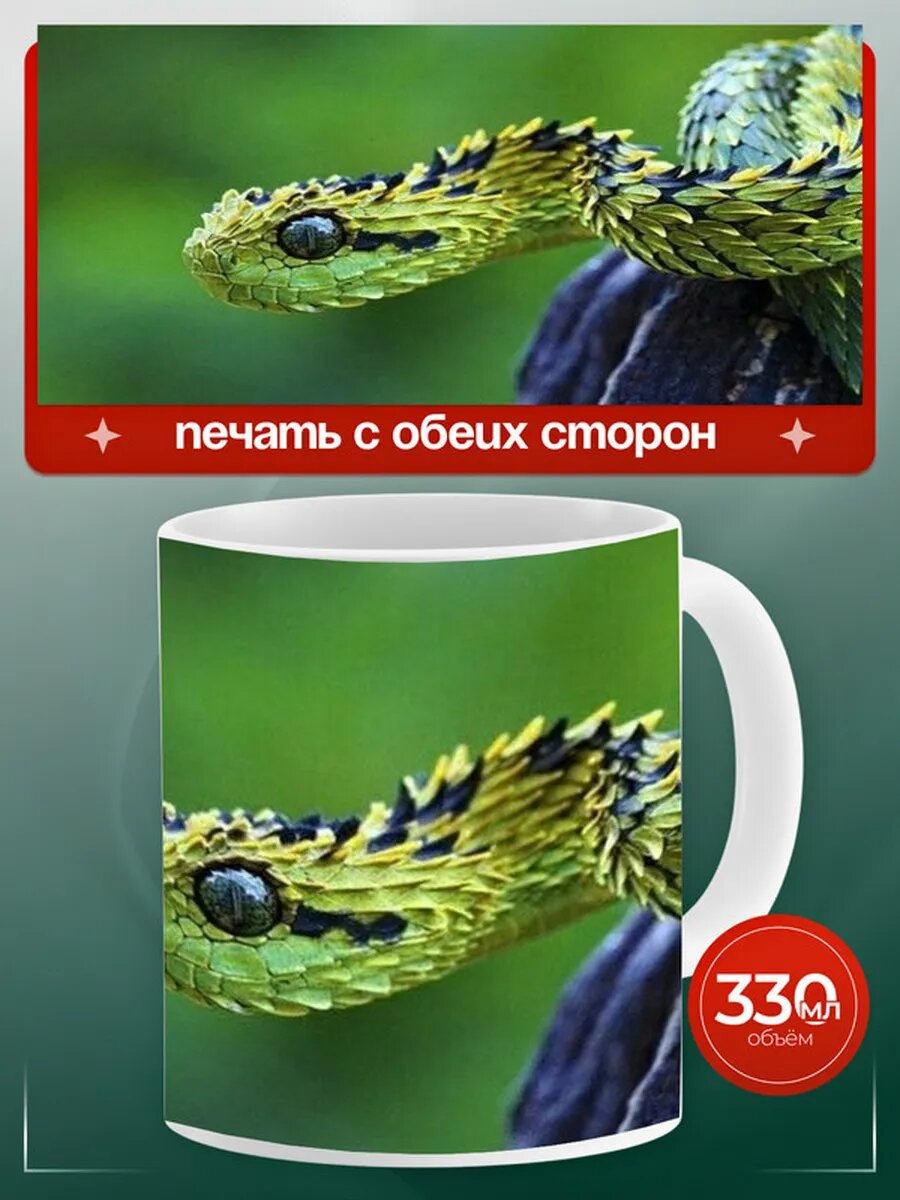 Кружка Гадюка рептилия 10,