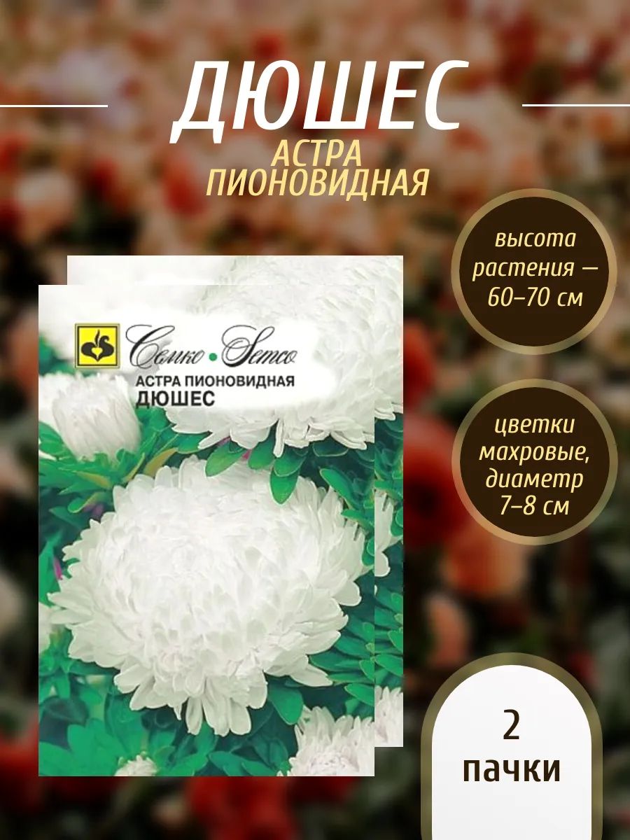 Семена, Астра пионовидная Дюшес, 2 пачки