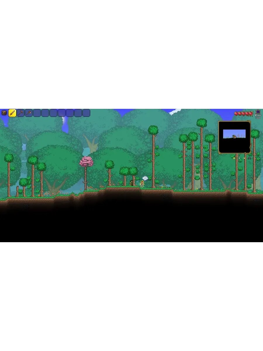 Terraria диск PS4 JB — фото 1