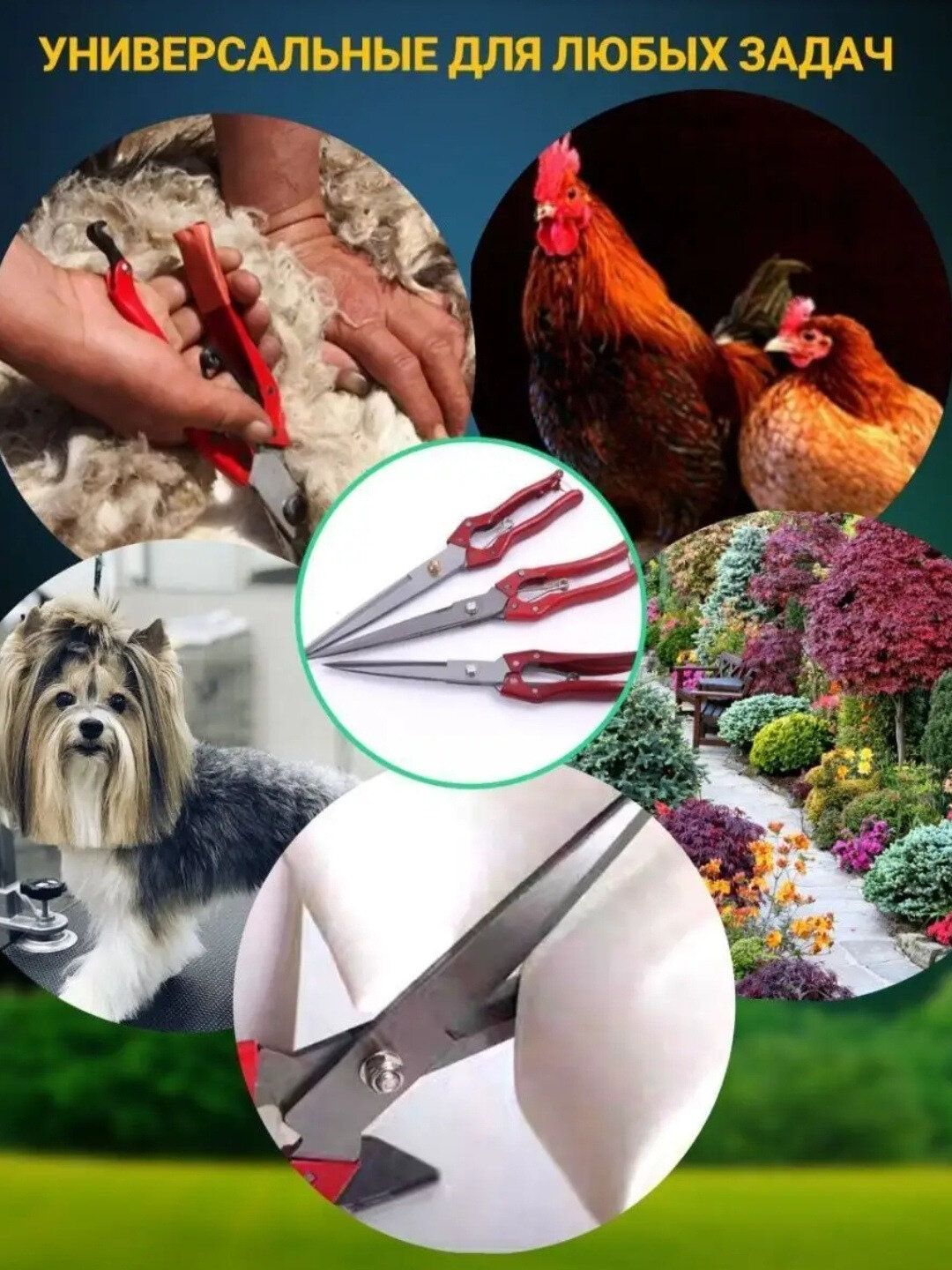 Ножницы для ухода за животными и бытовых нужд