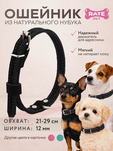 Изображение товара Ошейник для собак натуральная кожа (нубук), обхват шеи 21-29 см черный с фиолетовой строчкой