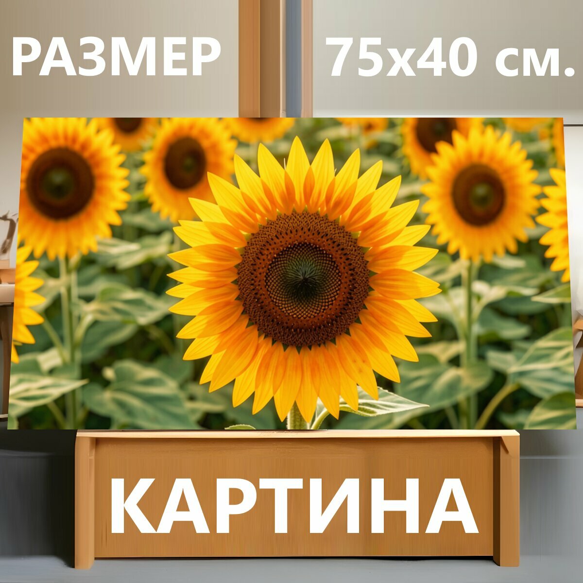 Картина на холсте "Подсолнуховое поле в солнечном свете. Яркое летнее поле с множеством золотистых соцветий, крупный цветок на переднем плане." на подрамнике 75х40 см. для интерьера