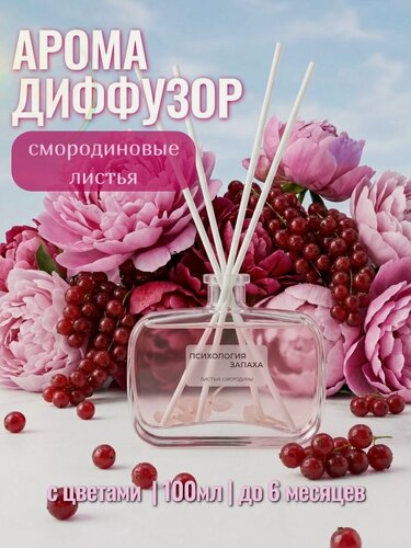 Изображение товара Аромадиффузор с живыми цветами "Смородиновые листья", аромат лета, 100мл
