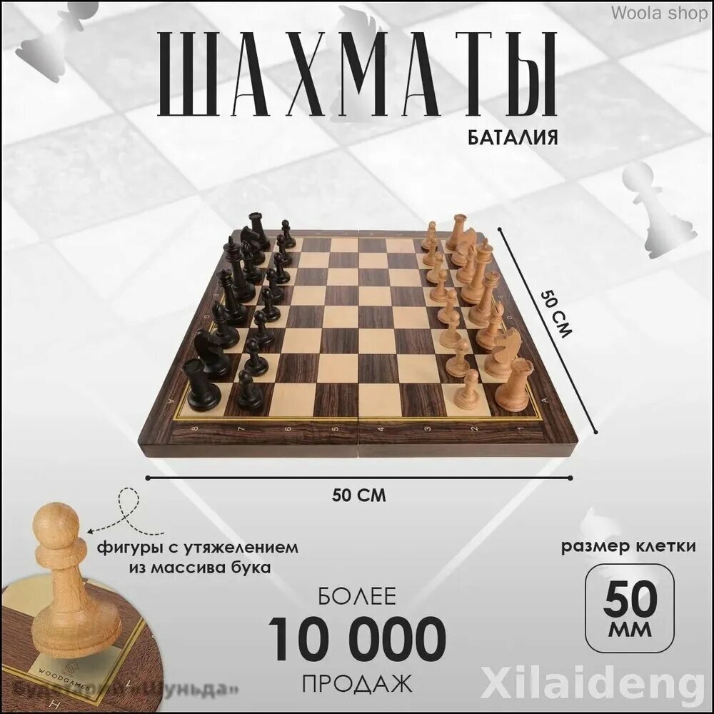 Шахматы