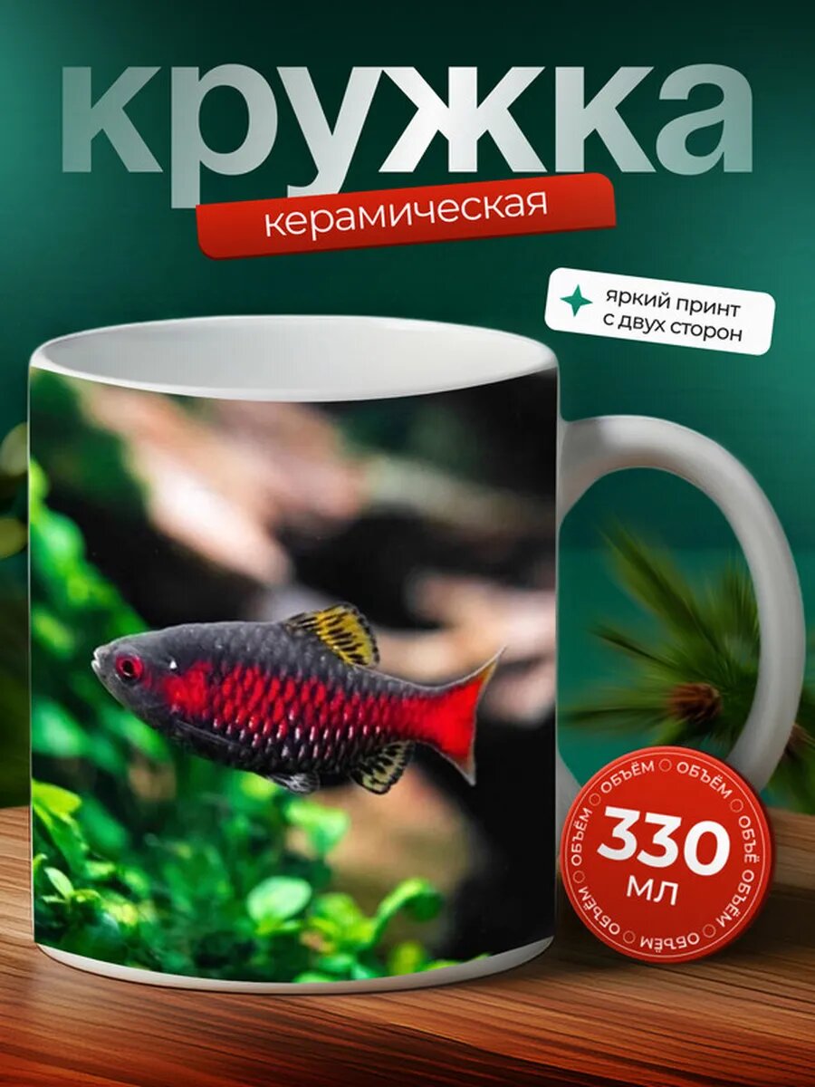 Кружка Барбус рыбка 31,