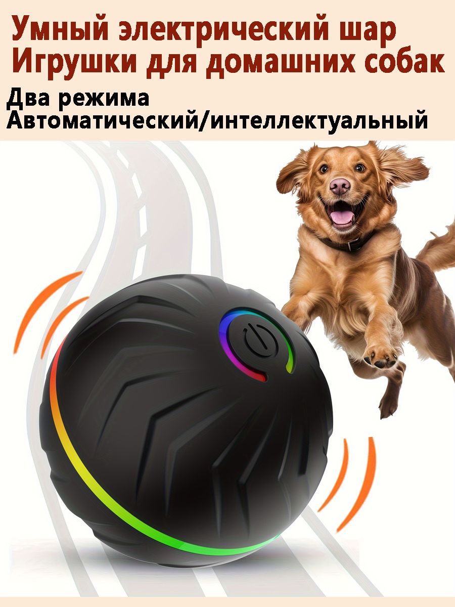 Игрушечный мяч для любимой собаки