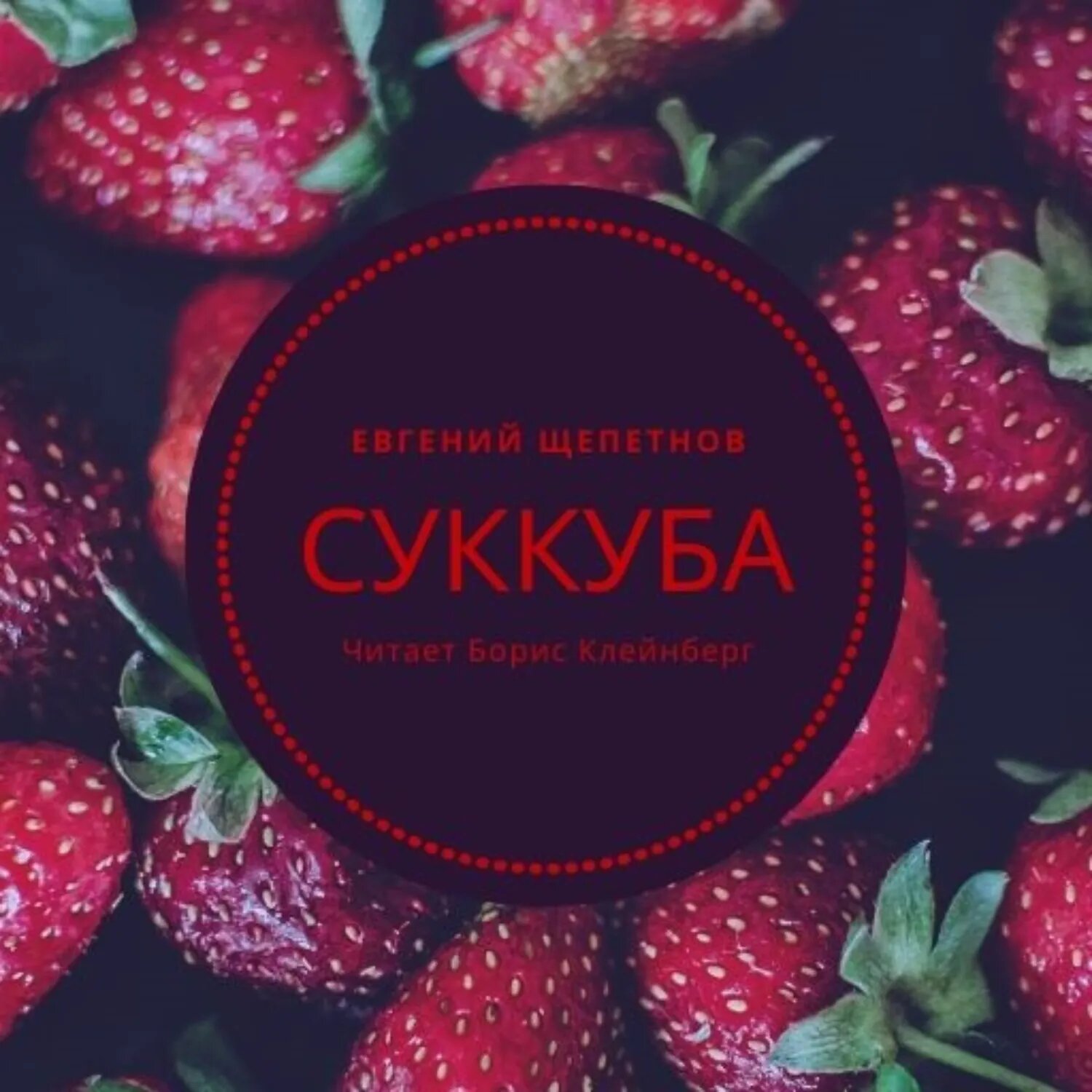 Суккуба [Аудиокнига]