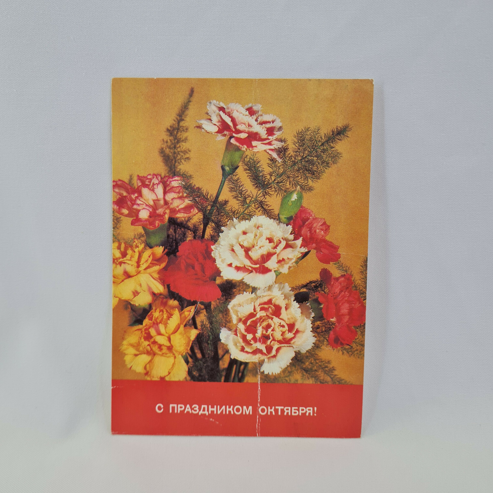 Открытка подписанная советская СССР. Праздник Октября, букет разноцветных гвоздик. Винтаж