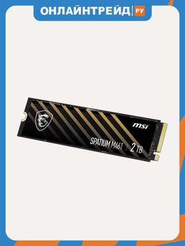 Изображение товара SSD диск Msi SPATIUM M461, 2000GB, M.2 2280, PCIe 4.0, NVMe (S78-440Q550-P83)