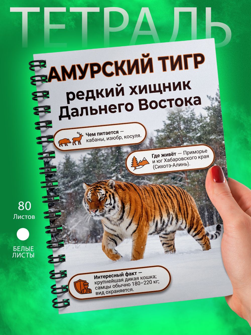 Тетрадь - Скетчбук А5 - Животные России - Амурский тигр