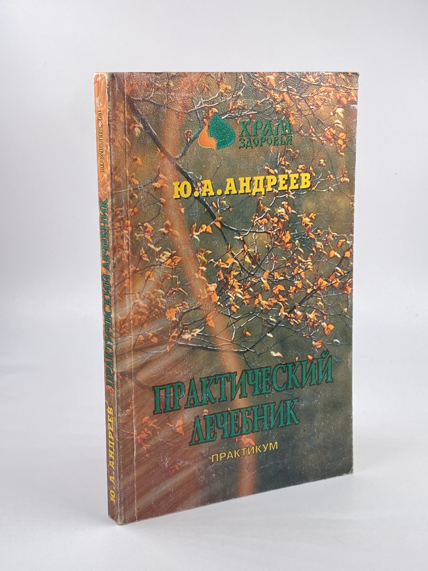 Практический лечебник. В 2 т. Том 2. Практикум / Андреев Ю.