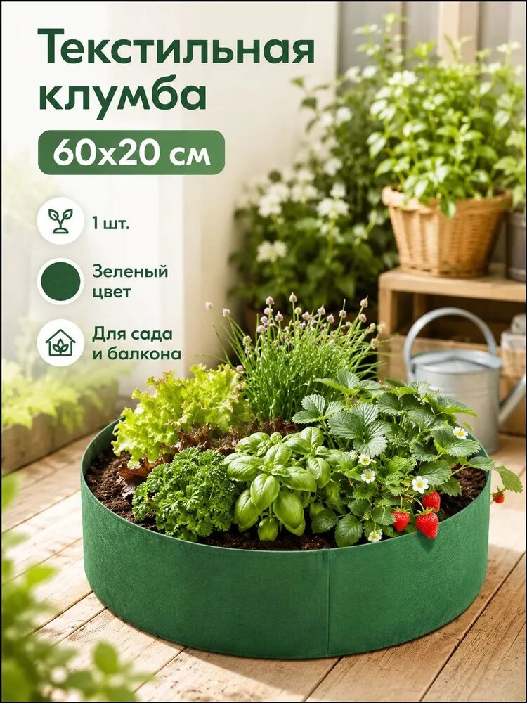 DAELIA Грядка 1 шт