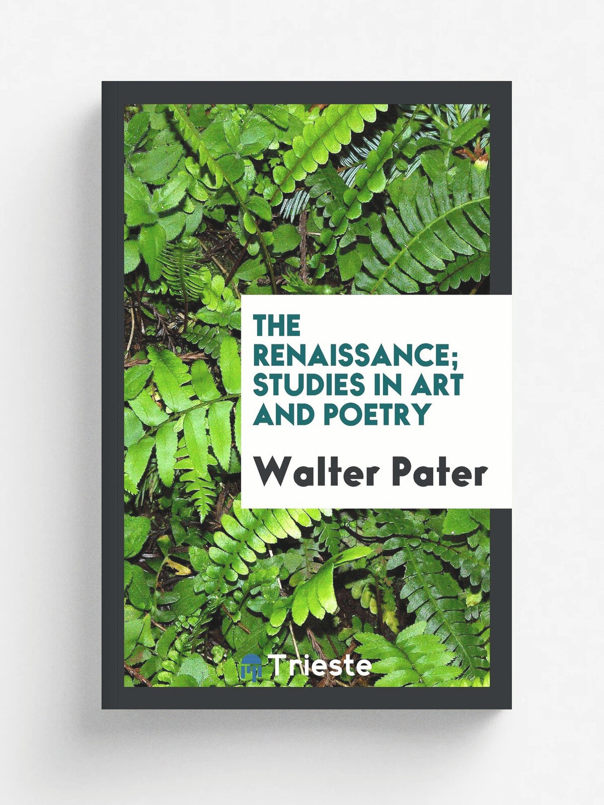 The renaissance; studies in art and poetry