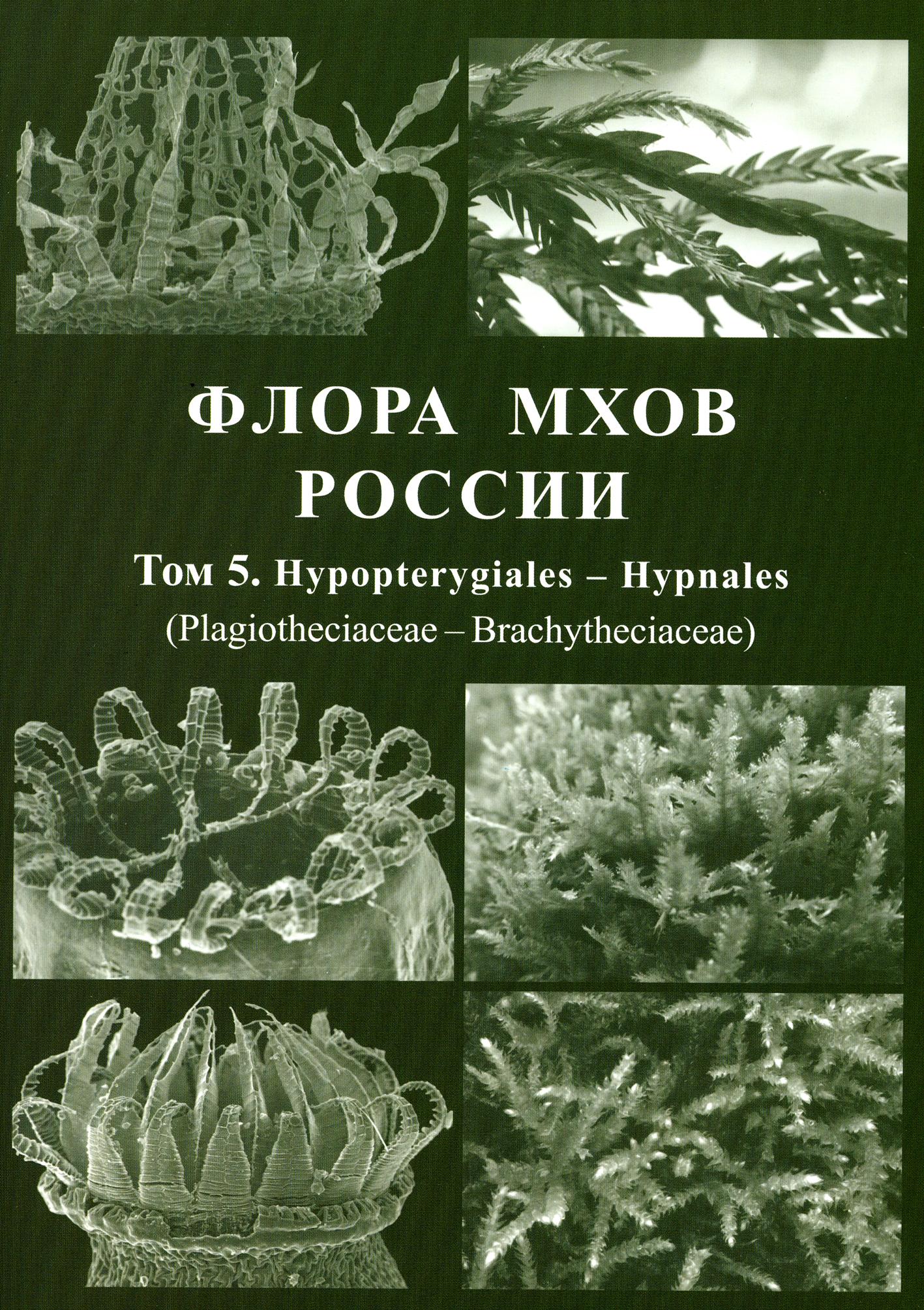 Флора мхов России. Том 5