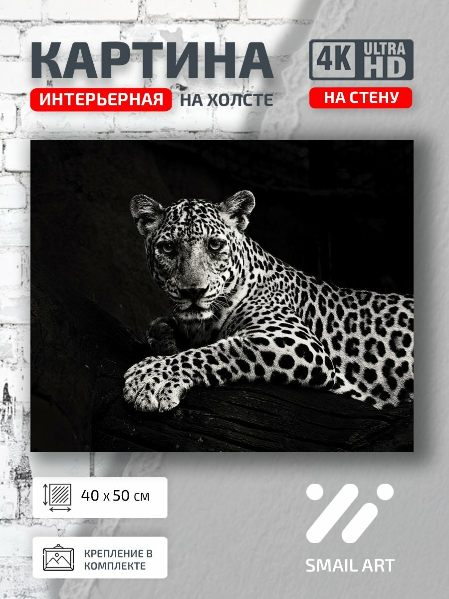 Картина на холсте интерьерная 40 на 50 на стену Лежит Mood для спальни атмосфера интерьер