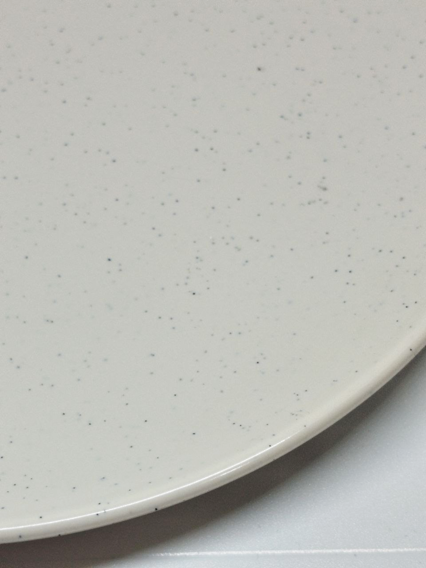 Тарелка. диаметр 25 см WB — фото 1